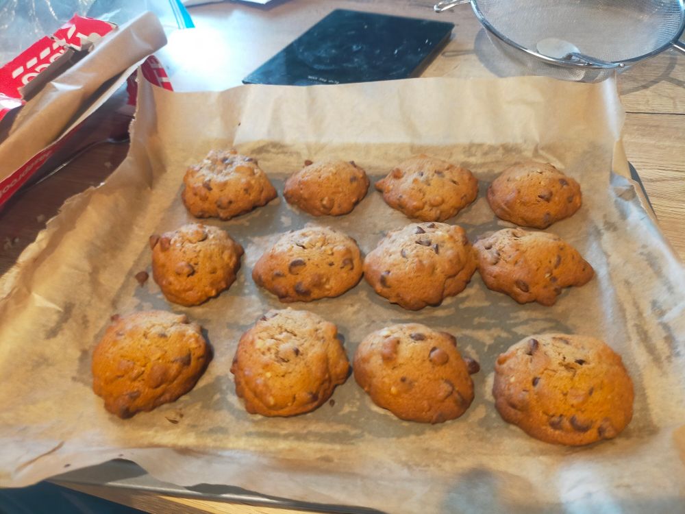 A tray of 12 toll house (chocolate chip and crushed walnut) cookies