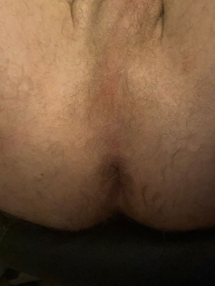 A hairy bear showing off his hole on command