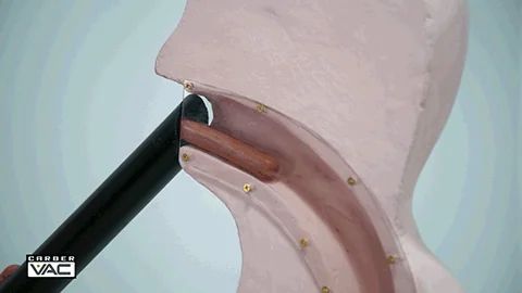 The Carber Hot Dog Vac