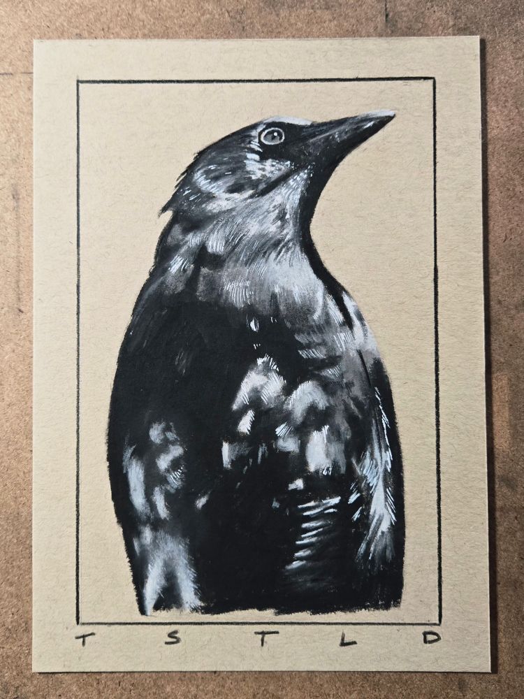 Sketch of a crow made with pastel and acrylic on toned paper. 