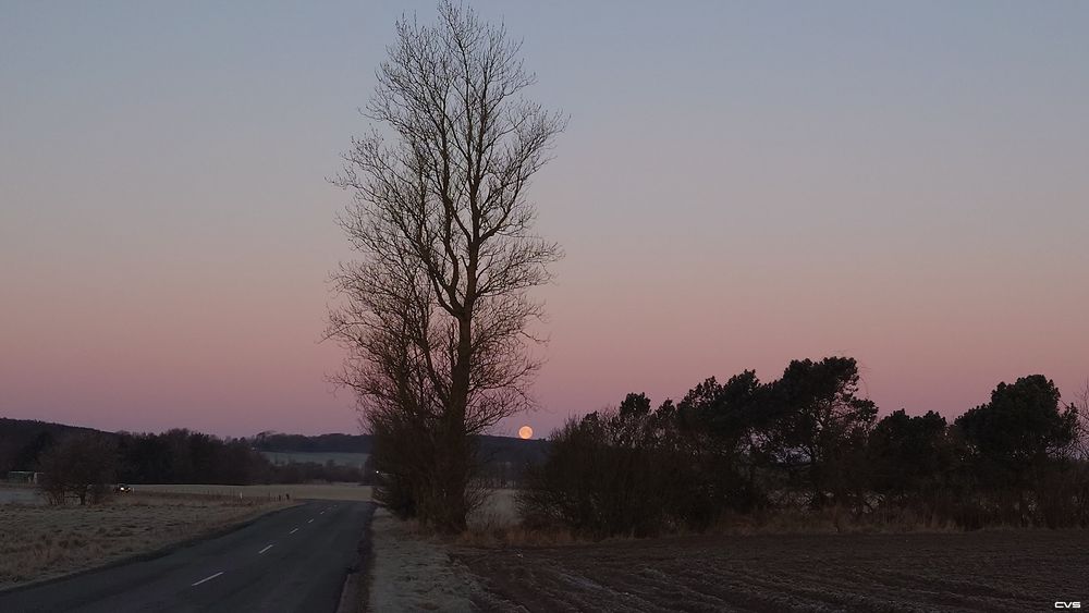 Crust full moon early frosty morning.