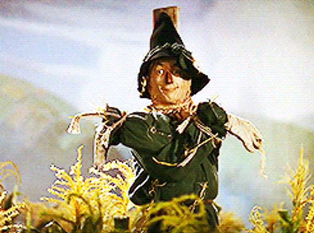 a scarecrow from the wizard of oz stands in a field