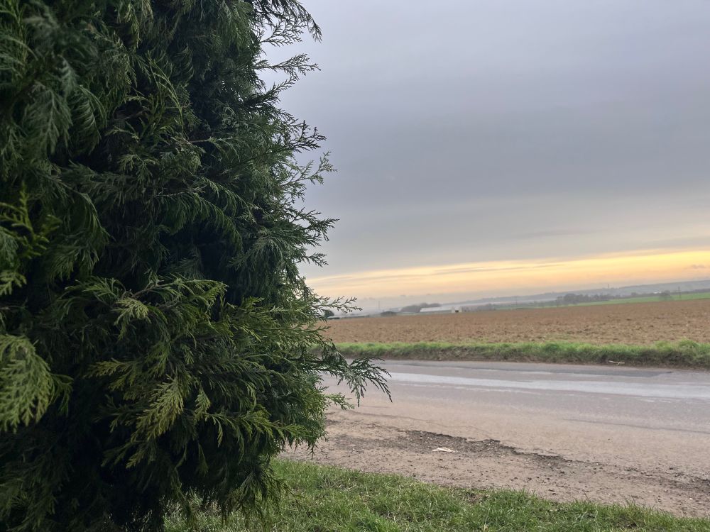 View across fields with a tree and a road in the foreground 