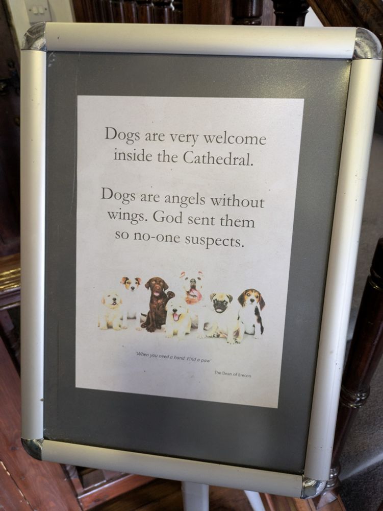 Sign reads "Dogs are very welcome inside the Cathedral. Dogs are angels without wings. God sent them so no-one suspects." Below this is an overexposed photo of some very happy looking dogs