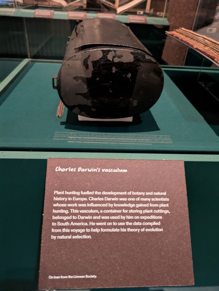 Charles Darwin's vasculum, on loan from the Linean Society. The label reads: "Plant hunting fuelled the development of botany and natural history in Europe. Charles Darwin was one of many scientists whose work was influenced by knowledge gained from plant hunting. This vasculum, a container for storing plant cuttings, belonged to Darwin and was used by him on expeditions to South America. He went on to use the data compiled from this voyage to help formulate his theory of evolution by natural selection."