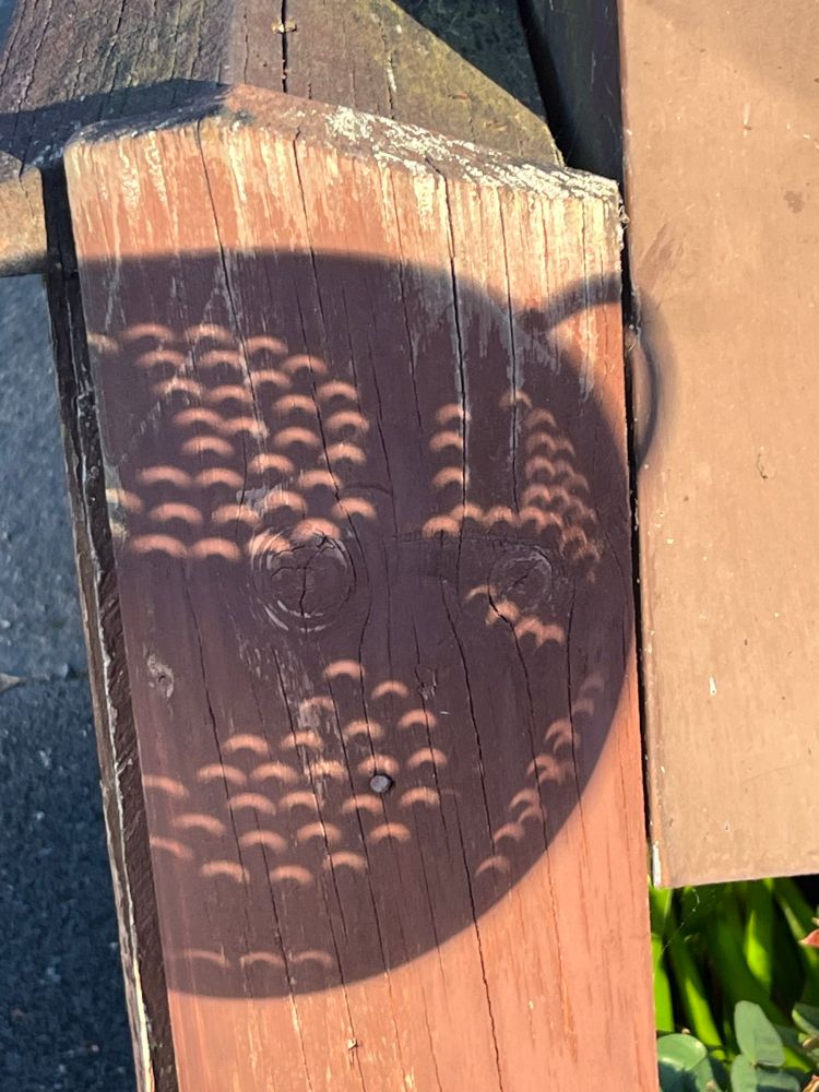 A shadow of a colander showing an image of the solar eclipse through each small hole.