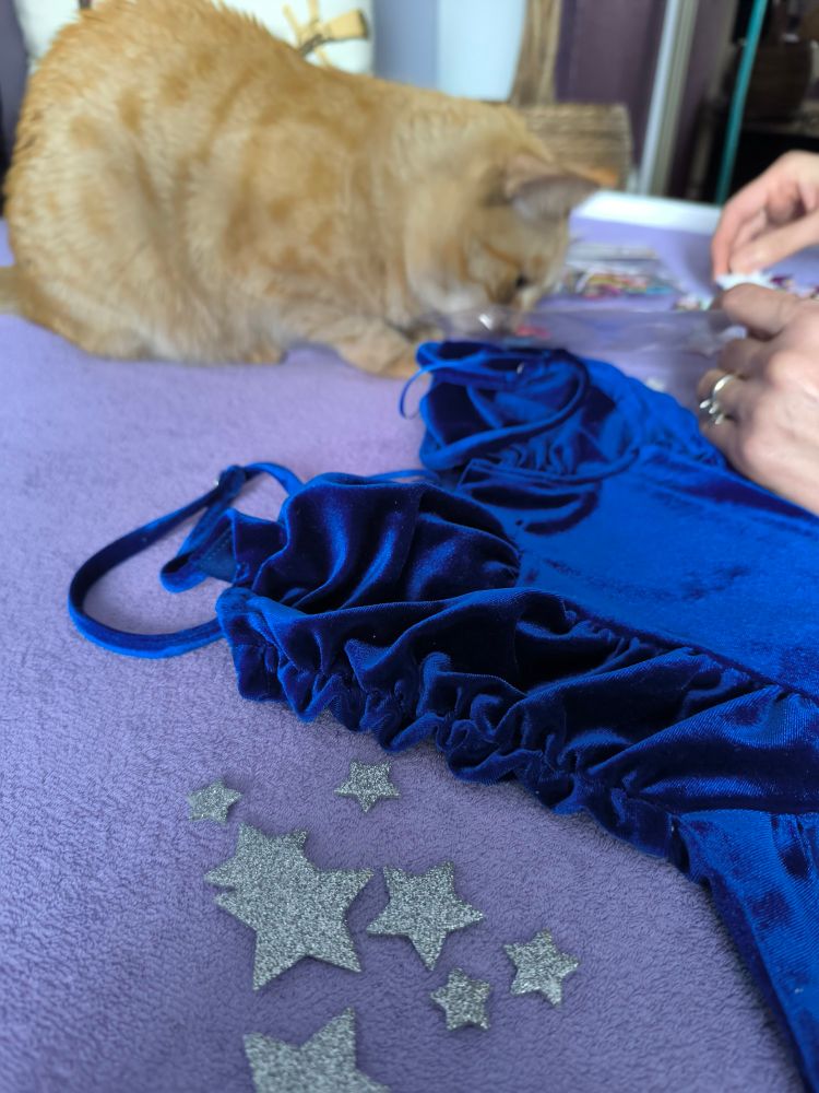 A navy blue dress lying on a bed, next to which there are silver star stickers, and an orange cat in the background.