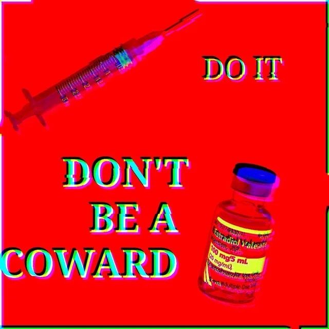 DO IT

DON'T BE A COWARD

needle & syringe
vial of estradiol