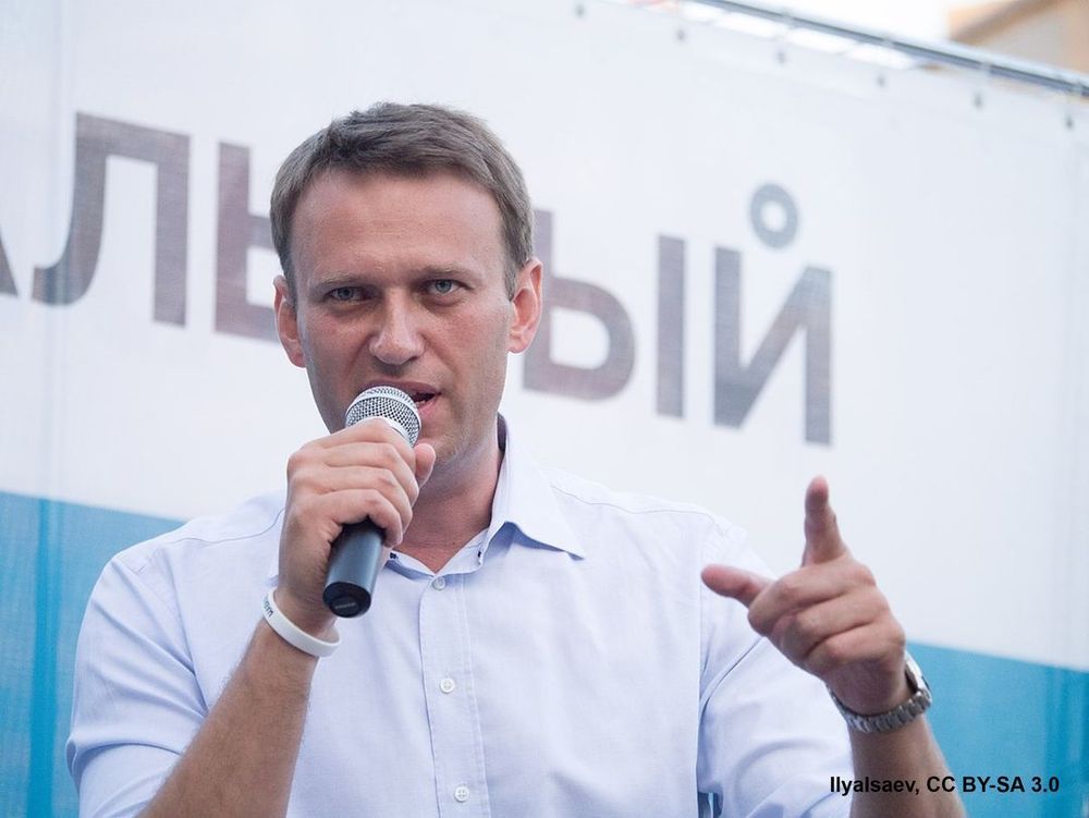 Alexei Navalny - IlyaIsaev, CC BY-SA 3.0