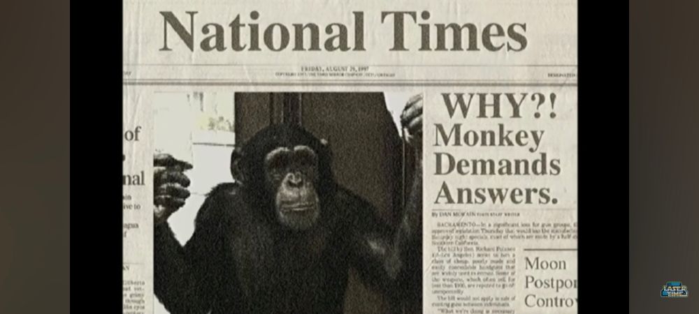 A newspaper of a chimp with the headline "WHY?! Monkey Demands Answers". This is from a Mr Show sketch about America blowing up the moon and the first person to bother to ask why was the chimp that was going to be sent to do it. (The sketch ends with the chimp being replaced by a circus chimp who "will get the job done, no questions asked")