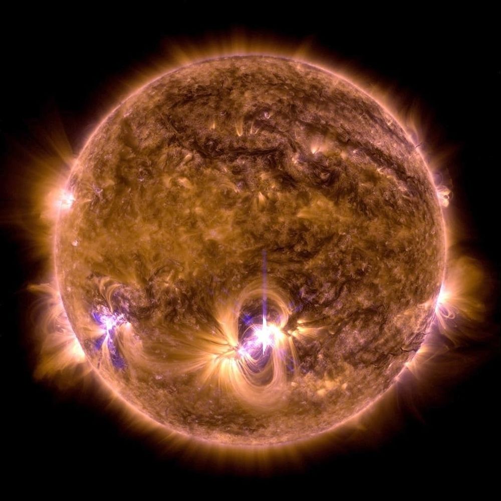 Astronomers call stars that are stably undergoing nuclear fusion of hydrogen into helium main sequence stars. This is the longest phase of a star’s life. The star’s luminosity, size, and temperature will slowly change over millions or billions of years during this phase. Our Sun is roughly midway through its main sequence stage.

A star’s gas provides its fuel, and its mass determines how rapidly it runs through its supply, with lower-mass stars burning longer, dimmer, and cooler than very massive stars. More massive stars must burn fuel at a higher rate to generate the energy that keeps them from collapsing under their own weight. Some low-mass stars will shine for trillions of years – longer than the universe has currently existed – while some massive stars will live for only a few million years.