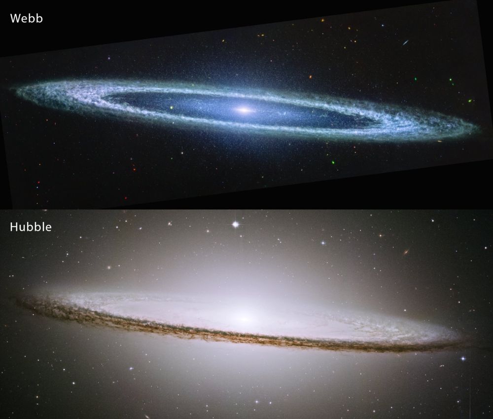 NASA’s James Webb Space Telescope recently imaged the Sombrero galaxy with its MIRI (Mid-Infrared Instrument), resolving the clumpy nature of the dust along the galaxy’s outer ring. This image includes filters representing 7.7-micron light as blue, 11.3-micron light as green, and 12.8-micron light as red.
Researchers say the clumpy nature of the dust, where MIRI detects carbon-containing molecules called polycyclic aromatic hydrocarbons, can indicate the presence of young star-forming regions. However, unlike some galaxies studied with Webb, including Messier 82, where 10 times as many stars are born than the Milky Way galaxy, the Sombrero galaxy is not a particular hotbed of star formation. The rings of the Sombrero galaxy produce less than one solar mass of stars per year, in comparison to the Milky Way’s roughly two solar masses a year.