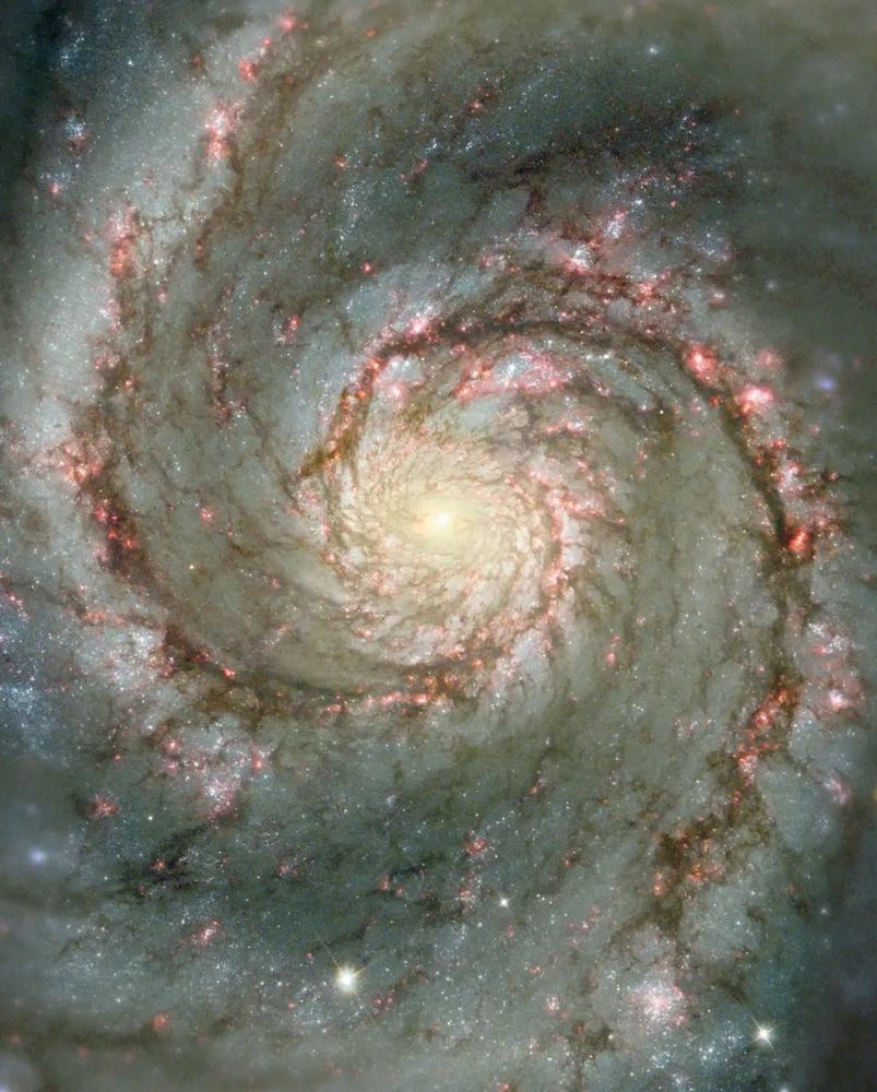 The Whirlpool Galaxy, M51, is a spiral galaxy located 31 million light-years away. It highlights the attributes of a typical spiral galaxy, including graceful, curving arms, pink star-forming regions, and brilliant blue strands of star clusters.
NASA, ESA, S. Beckwith (STScI) and the Hubble Heritage Team (STScI/AURA)