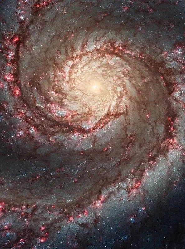 The Whirlpool Galaxy is a spiral galaxy located 31 million light-years away. Also known as M51, it highlights the attributes of a typical spiral galaxy, including graceful, curving arms, pink star-forming regions, and brilliant blue strands of star clusters.

Credit: NASA, ESA, S. Beckwith (STScI), and the Hubble Heritage Team (STScI/AURA)