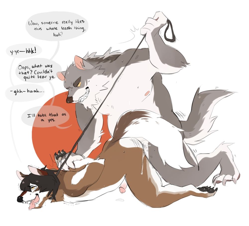 Older wolf man trying out a leash on his coyote boy, who can't help but submit.
