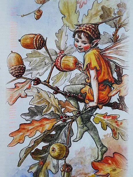 🎨"Acorn Fairy" Artist: Cicely Mary Barker circa 1918.