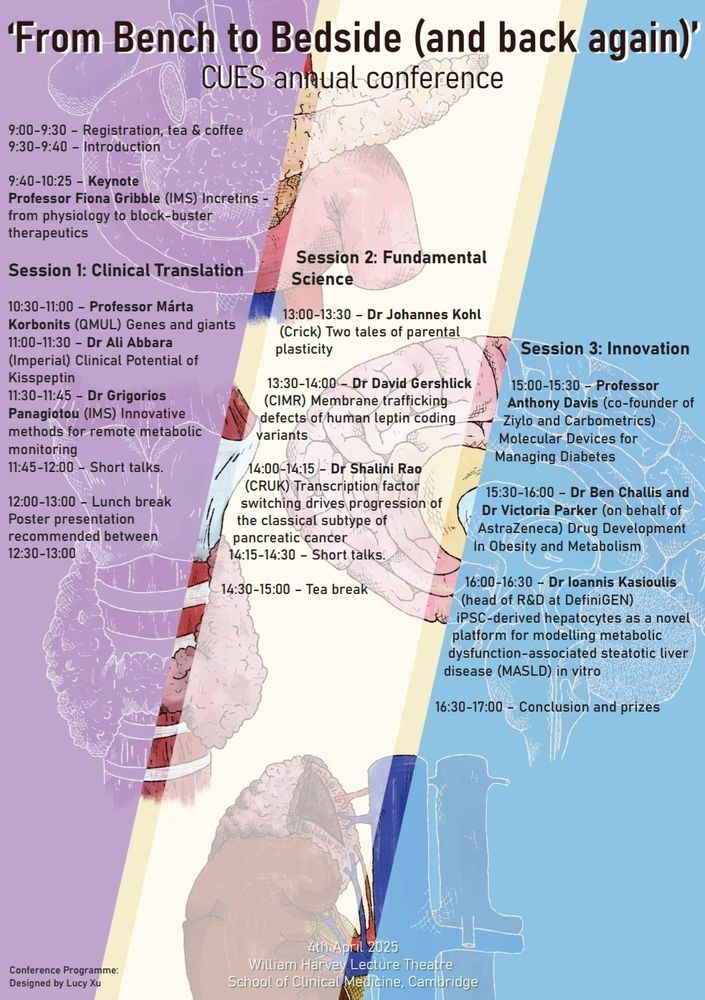 A conference programme listing sessions, speakers, and topics related to endocrinology, metabolism, and medical innovation. The schedule includes a keynote on incretins, sessions on clinical translation, fundamental science, and innovation, with discussions on genes, metabolic monitoring, parental plasticity, diabetes management, and obesity drug development. The day concludes with prizes and closing remarks.