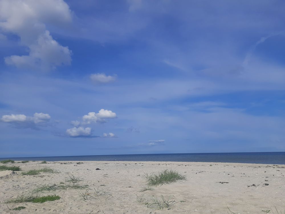 Sandstein mit ein bisschen Grün, dahinter dunkel das Meer in einem schmalen Streifen, darüber der blaue Himmel mit ein paar weißen Wolken links