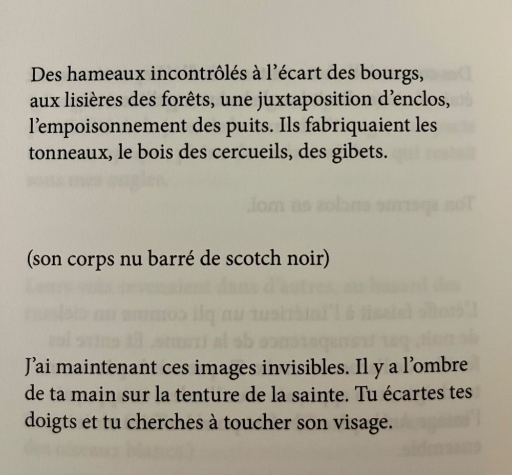 Des hameaux incontrôlés à l'écart des bourgs, aux lisières des forêts, une juxtaposition d'enclos, l'empoisonnement des puits. Ils fabriquaient les tonneaux, le bois des cercueils, des gibets.
(son corps nu barré de scotch noir)
T'ai maintenant ces images invisibles. Il y a l'ombre de ta main sur la tenture de la sainte. Tu écartes tes doigts et tu cherches à toucher son visage.