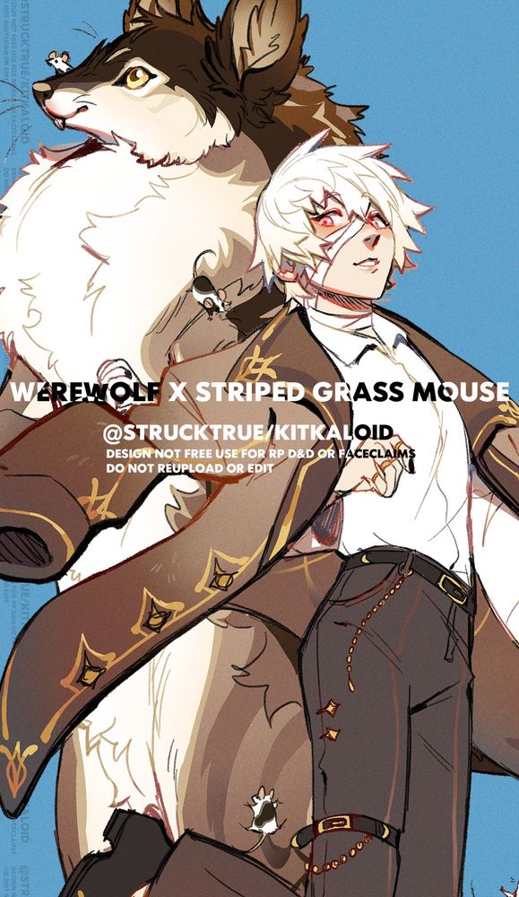 A close-up of one of the werehybrids. He's a mix of werewolf and a striped grass mouse. He's male, young adult. Possibly younger than the other two. He's posed mid-leap with a long trenchcoat hanging off of his shoulders. He's sickly in complexion with albino pink eyes and bandages wrapped across his face and neck. His hair is short and choppy. Behind him is his were-form. It is, unsurpsisingly, more mouse-like than a regular wolf. Difference being the snout being shorter than a wolf's, yet longer than a mouse's. The ears are furry and slightly pointed upward like a wolf's. Two buck teeth stand out. Two companion mice are hanging onto both forms.