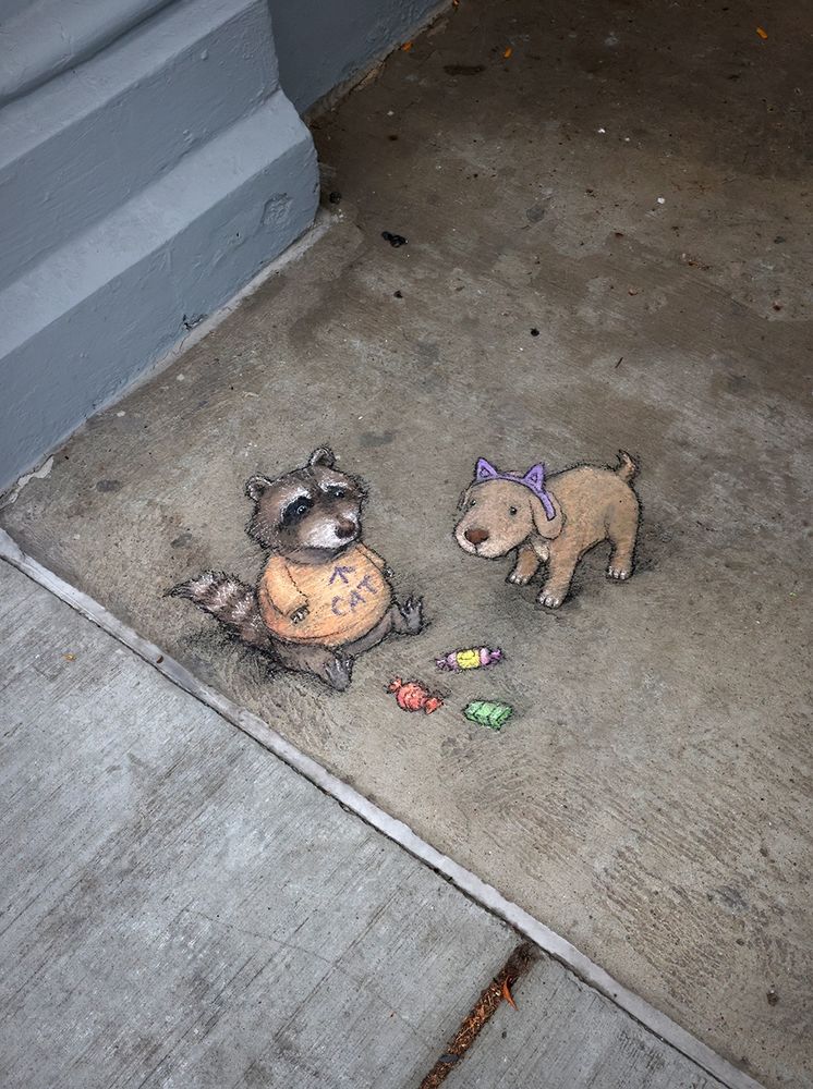 sidewalk chalk drawing of a raccoon wearing a t-shirt that says "cat" and a puppy wearing cat ears, both looking disappointedly at a small pile of candy.