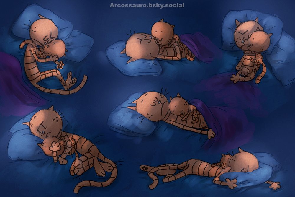 Drawings of Petey and Lil Petey sleeping together from many angles in different positions with dim light coming from a window