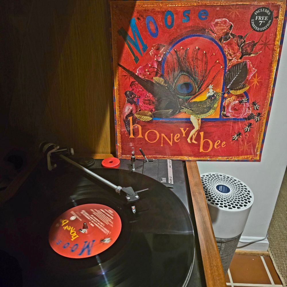 The LP sleeve for the album "Honey Bee" by the band Moose sits on a vintage Dual turntable as the record spins on the platter.