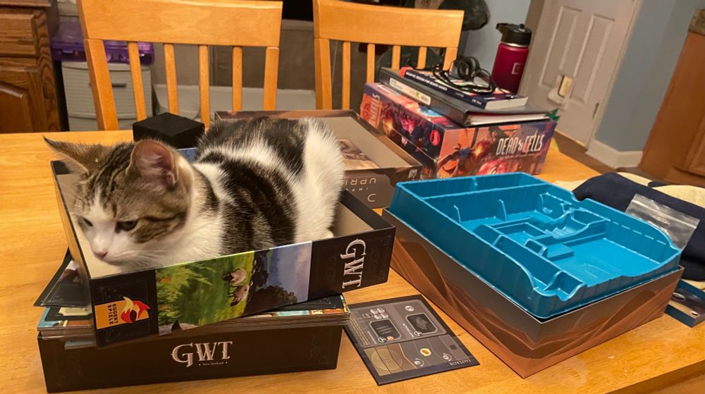 Cat in a board game box “helping”