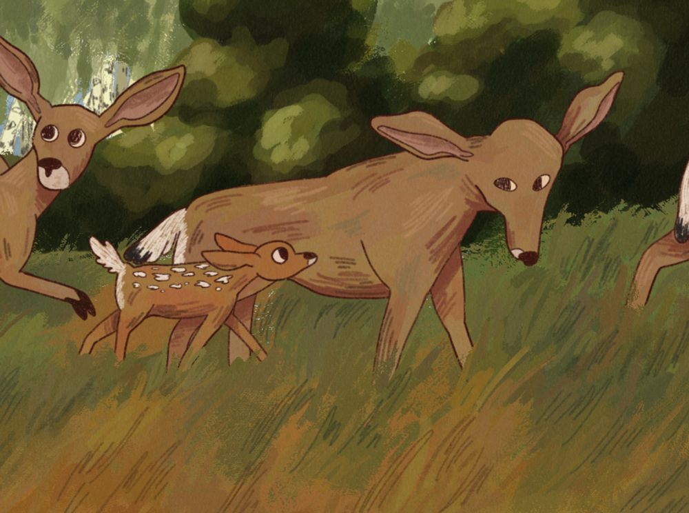 A detail shot of two of the herd members, a mother deer and her fawn. 