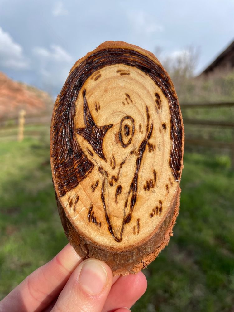 A small woodburned plaque of a seabird with a star on its head. Its head is pressed to its chest. 