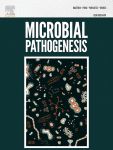 Adaptive trade-offs between bacteriophage and antibiotic resistance in Salmonella Typhimurium