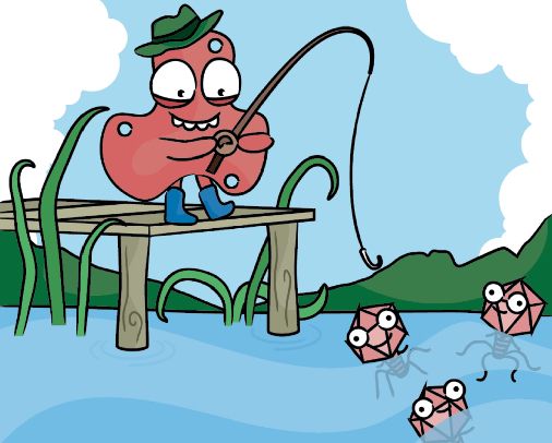 A molecular decoy for phage defence - Nature Reviews Microbiology