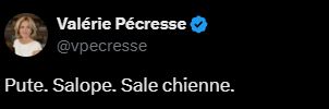Capture d'écran d'un tweet de Pécresse reprenant des insultes s'adressant à elle.
