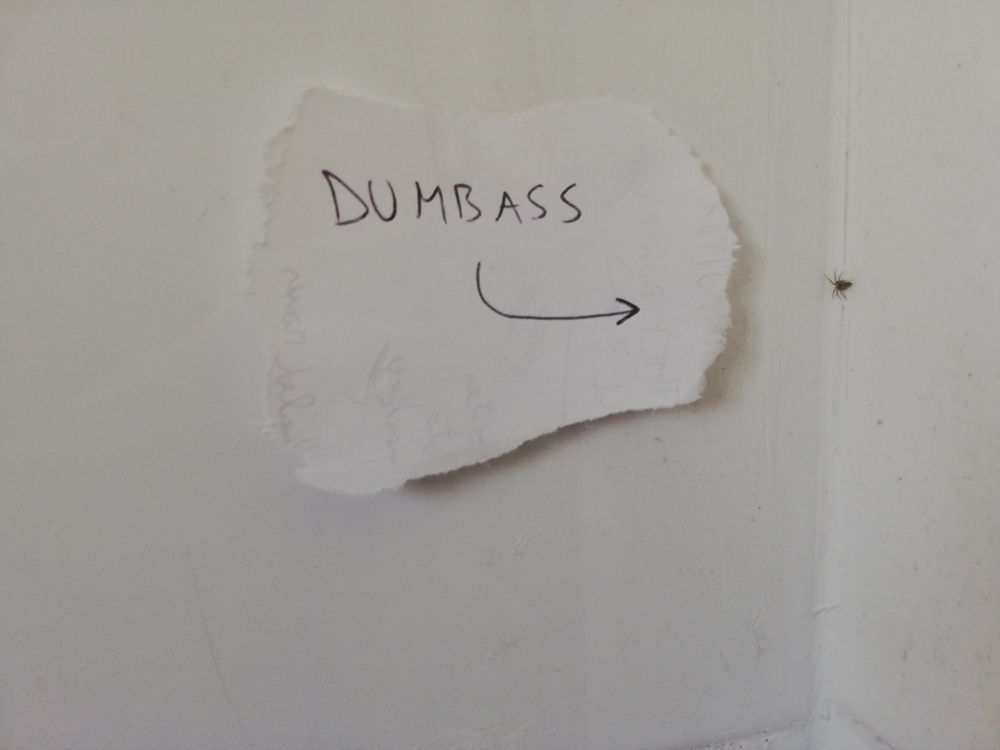 A photo of a tiny spider next to a hand-written sign that has an arrow pointing at it. The sign text reads "DUMBASS".