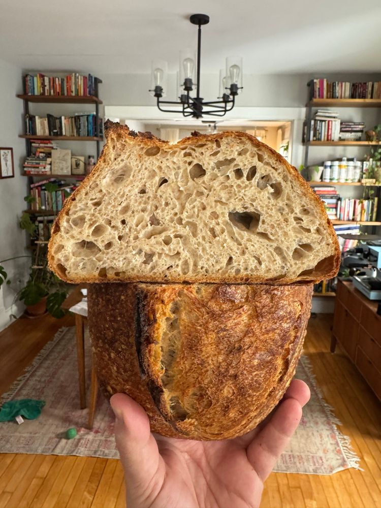 cross section of a loaf of sourdough bread showcasing an even and open crumb 