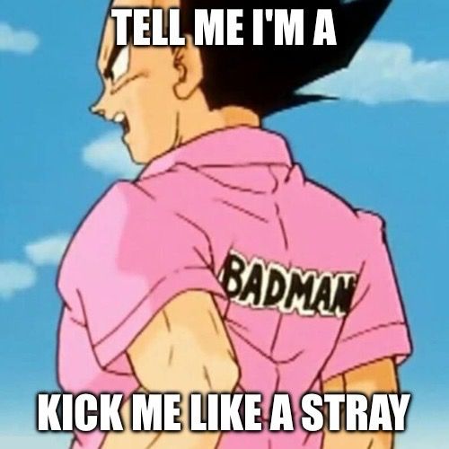 TELL ME I'M A 
BADMAN
KICK ME LIKE A STRAY

it's an MCR lyric don't worry about it