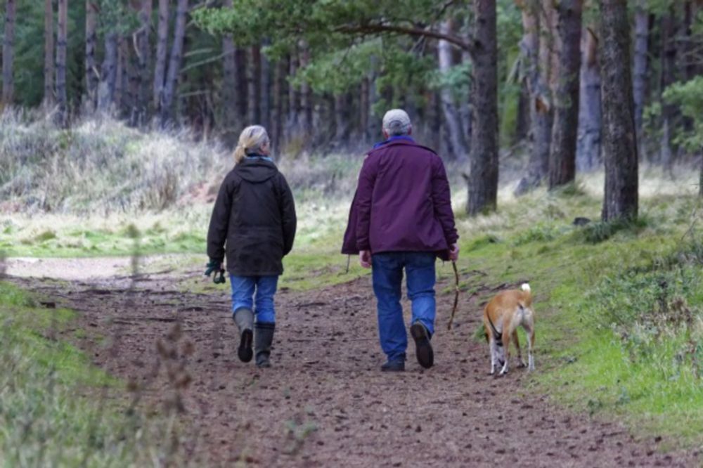 Dog Walking Boosts Seniors’ Activity Levels, Study Reveals