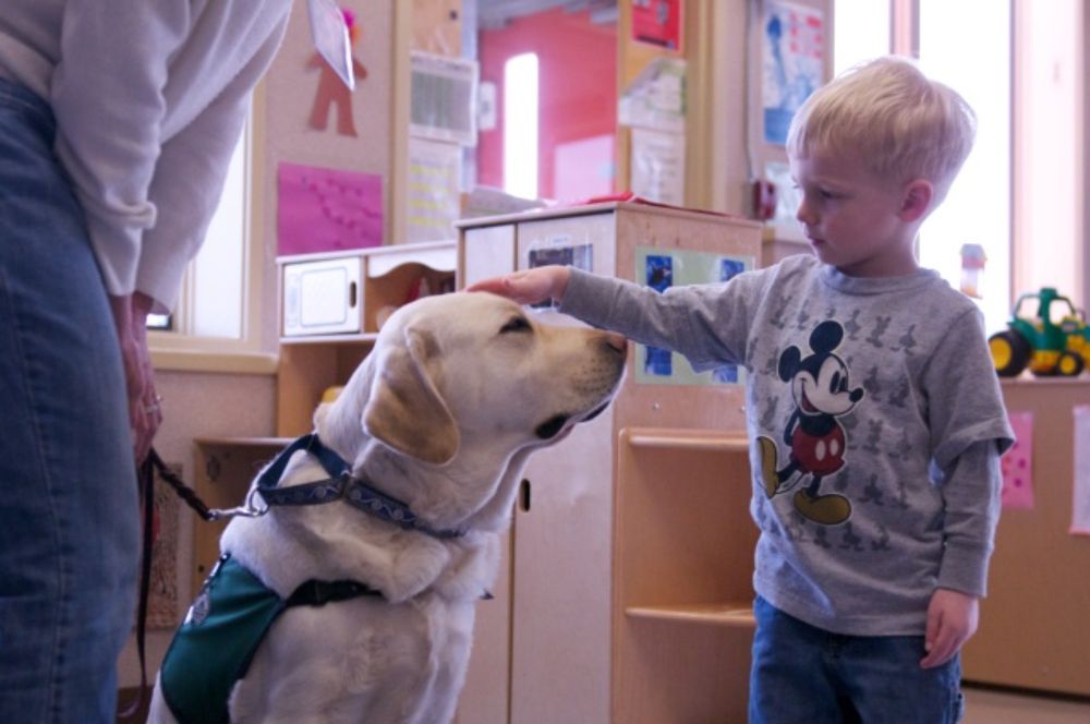 Dog Intervention Reduces Stress in School Kids, Study Shows