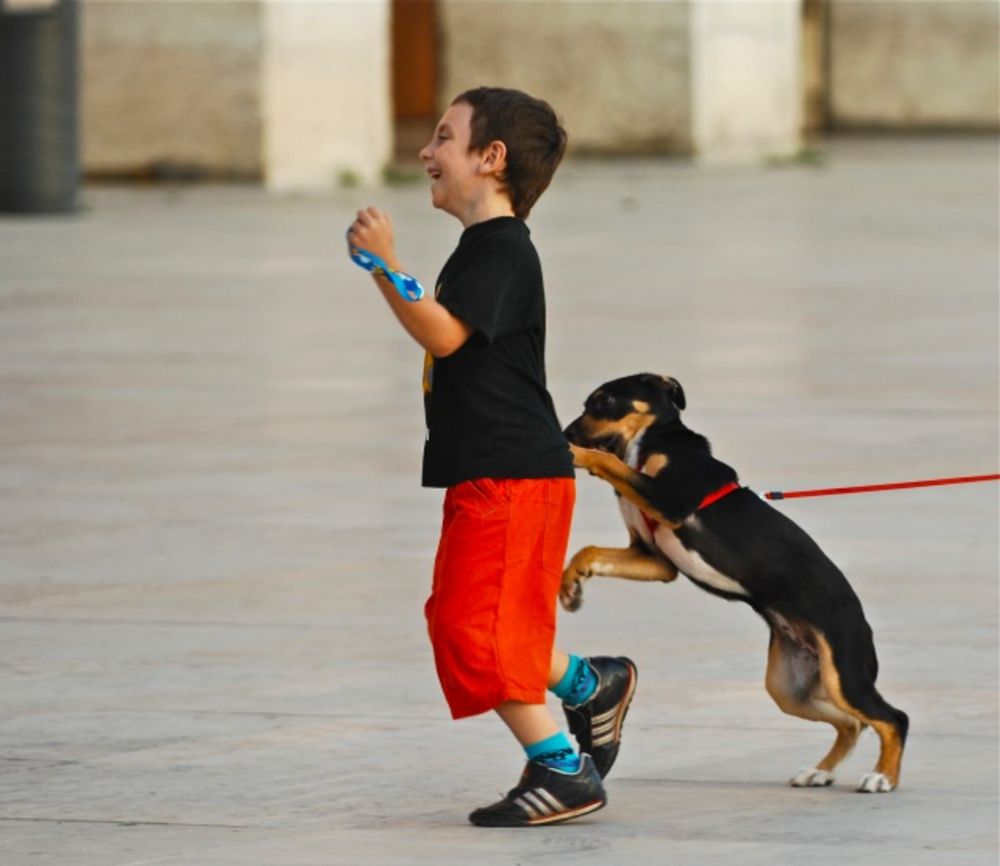 Dogs Boost Activity Levels in Kids with Developmental Disabilities