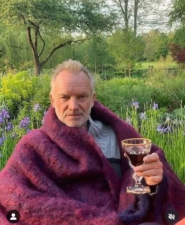 Sting surveys his rolling acres wrapped in shawl nursing a cheeky glass of red 