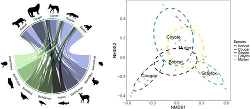 A two panel figure diet patterns of bobcats, cougars, coyotes, gray foxes, and martens via composition of major prey groups detected through high-throughout sequencing (left figure) and how inter specific diets overlapped in niche space (right panel)