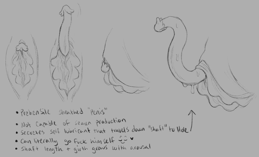 Examples and design notes for Vance's (my oc) genitalia. He has what appears to be a normal, albeit oddly shaped, pussy at first glance. His clit has nubs around the edges and his labia are oddly floral shaped, and large. However once aroused, his clit actually unsheathes and becomes a prehensile tentacle, the nubbins on his clit engorging along with the shaft. The more aroused he becomes, the larger and girthier this pseudo-cock becomes. Notes indicate that he isn't capable of typical semen production or ejaculation, but that he does secrete (and I may make him capable of ejaculating,) self lubrication that slides down along the shaft to lubricate his hole OR allow for fucking. He is capable of fucking himself when in need, and regularly does so.