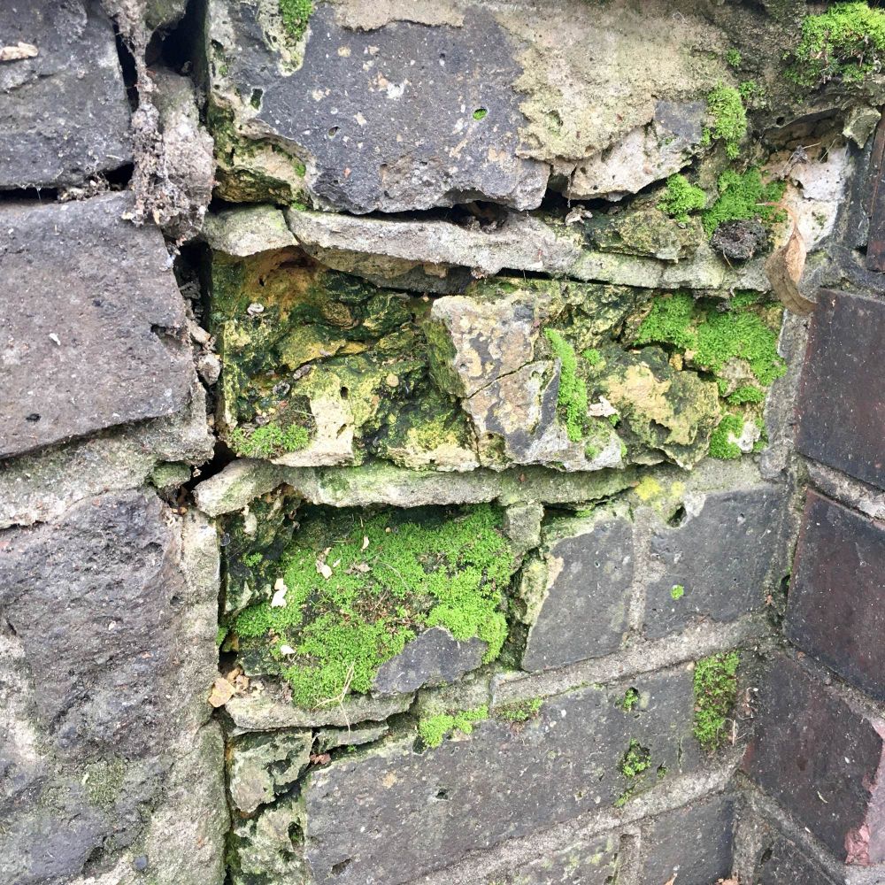 Dilapidated wall, with an area of lush green moss