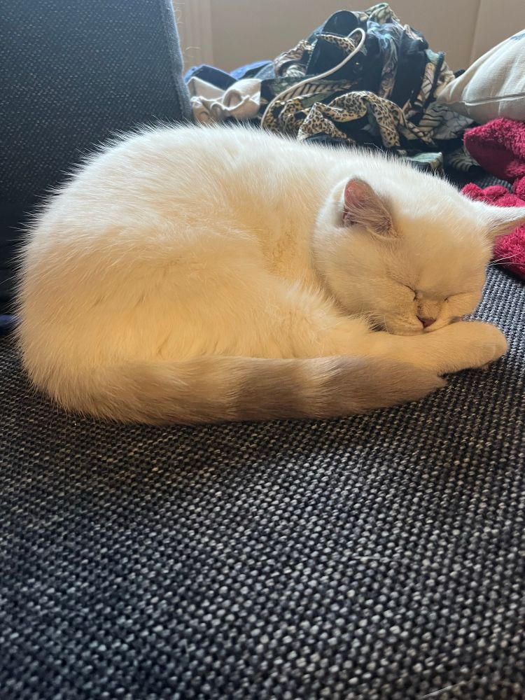 Svea sover 3 månader gammal