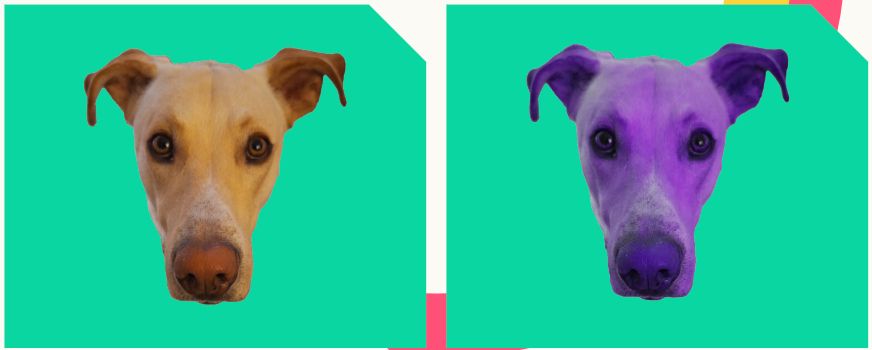 Dos imágenes de la cara de Baldur pero la de la izquierda tiene los colores habituales (tonos canela) y en la izqueirda tiene un filtro morado.