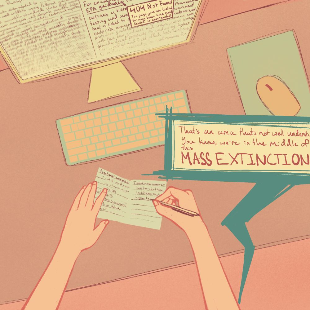 A digital drawing of a pair of hands taking notes at a desk with a computer. On the monitor, half of the screen shows a mostly-blurred scientific job description. On the other, a report including the words "EPA guidance" which link to another webpage. The cursor is hovering over the link and previewing the page, which shows a 404 error. An electronic-looking textbox pointing out of frame contains a transcript snippet of episode 539 of In Defense of Plants, discussing mass extinction, with those words enlarged for emphasis
