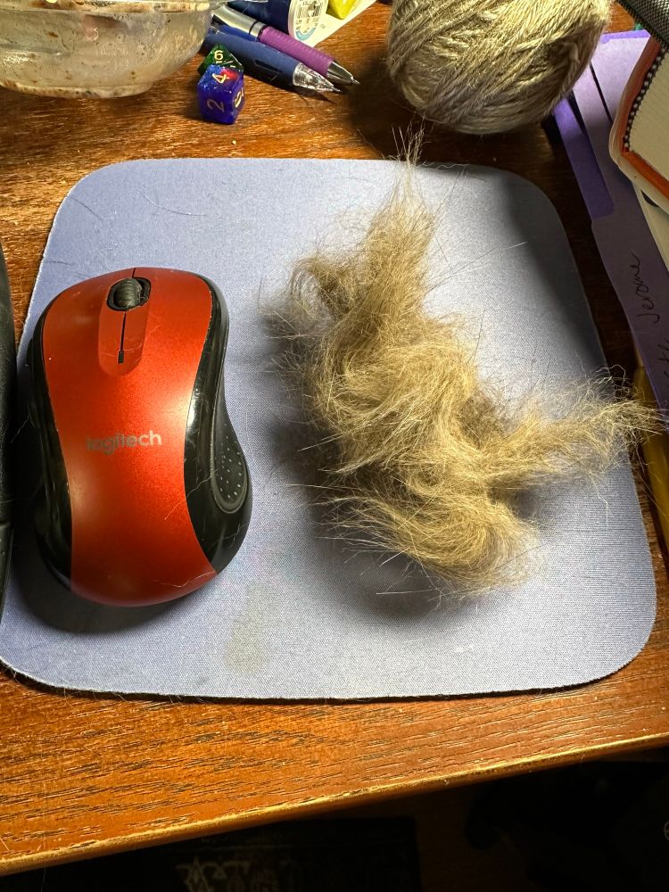 A pile of brownish fur next to and about the same size as a red computer mouse