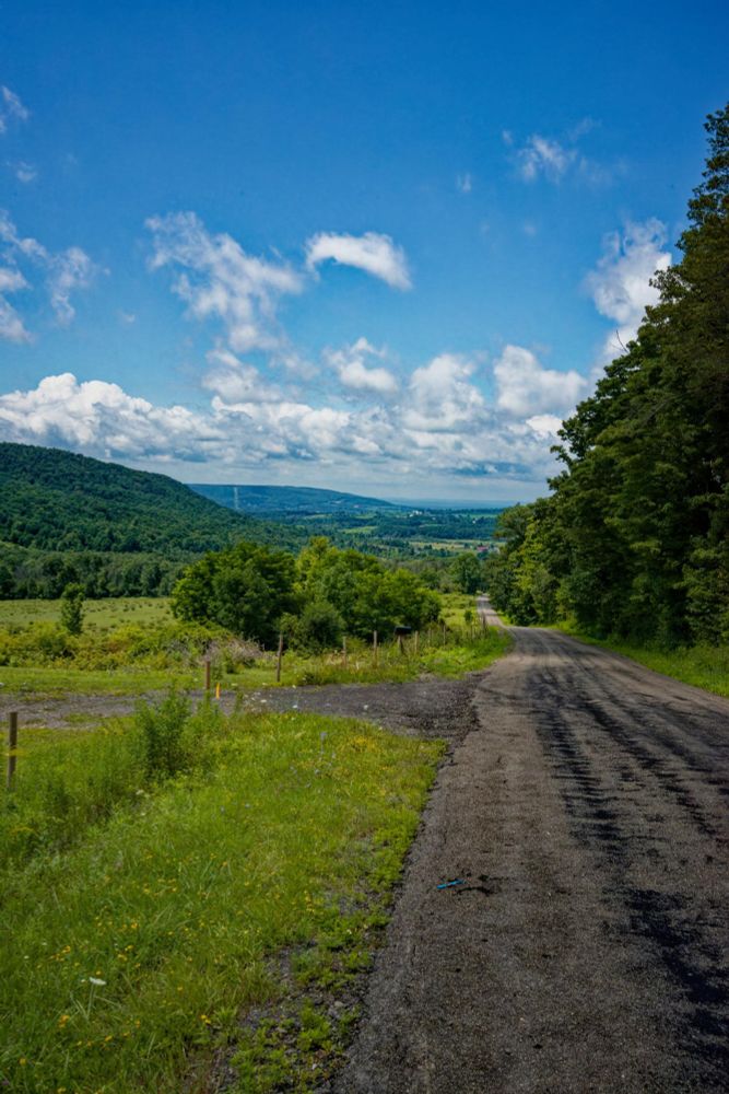 A road heads straight into the distance from the lower right of the image with a hedgerow to the left and an open field to the left with a cluster of bushes directly the the front,  the view opens up to hills and fields at various distances with a layer of cumulus clouds in a blue sky