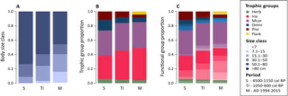 Bridging archaeology and marine conservation in the Neotropics