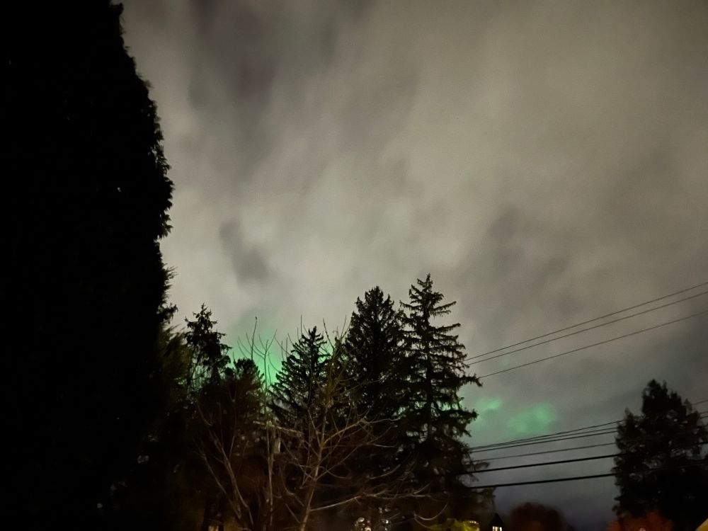My front yard with dark pine trees, a cloudy sky, and a whisper of a green aurora. 